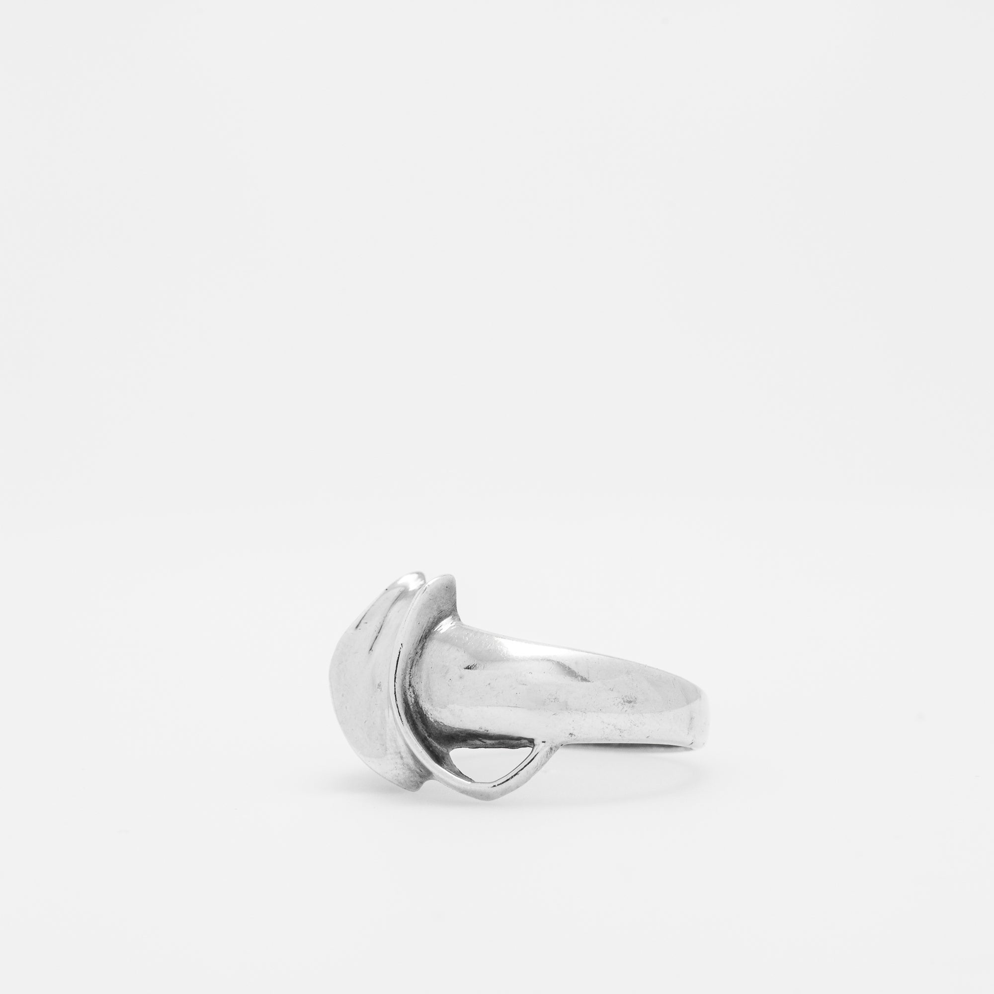 Shell Ring Ver.6