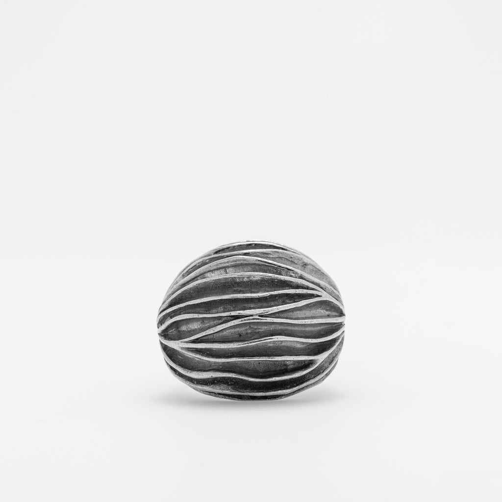 Mollusk Ring