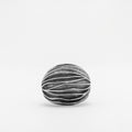Mollusk Ring