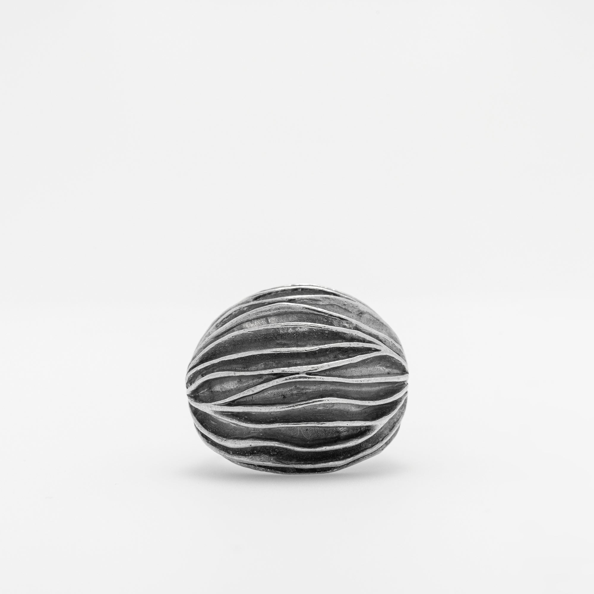 Mollusk Ring