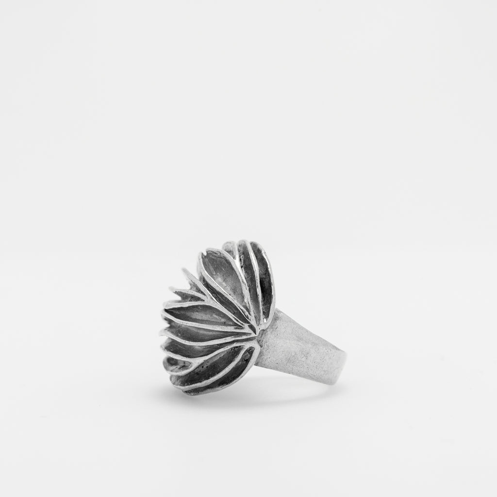 Mollusk Ring