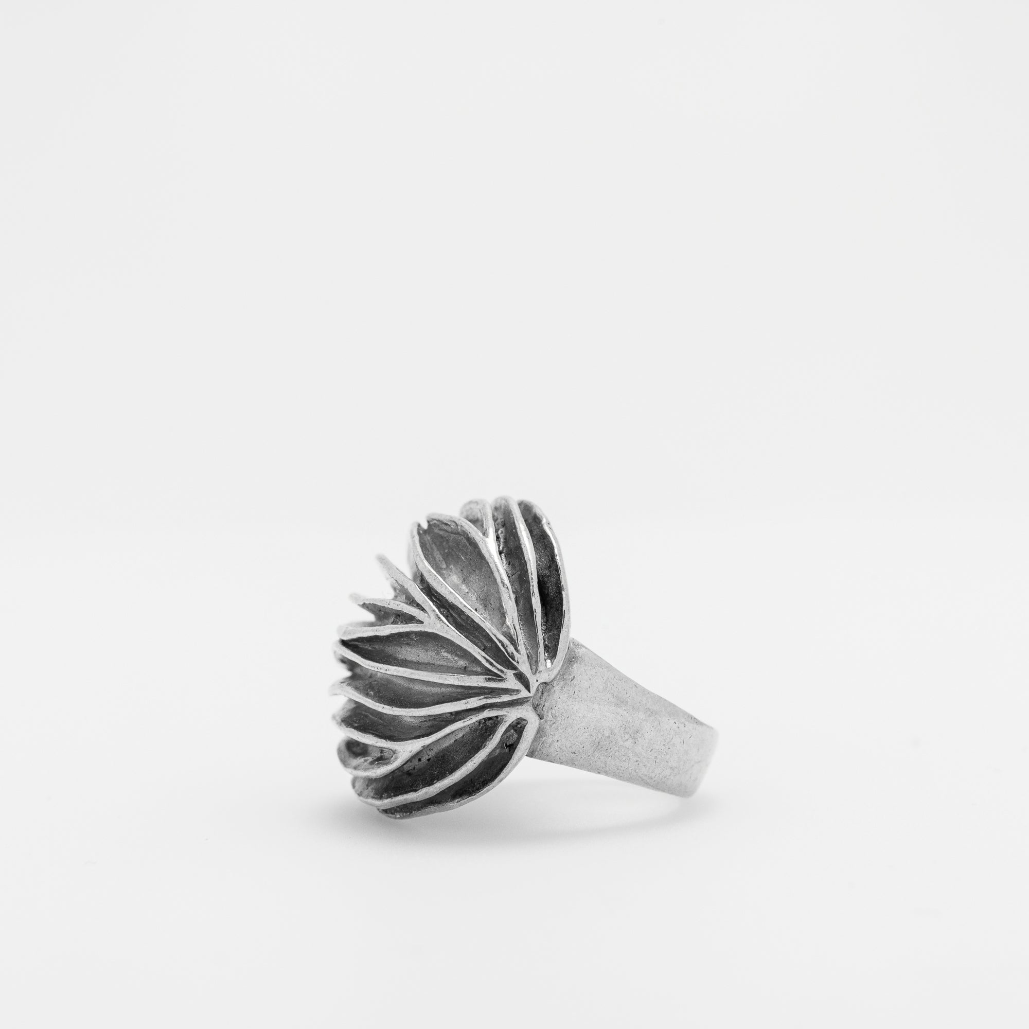 Mollusk Ring