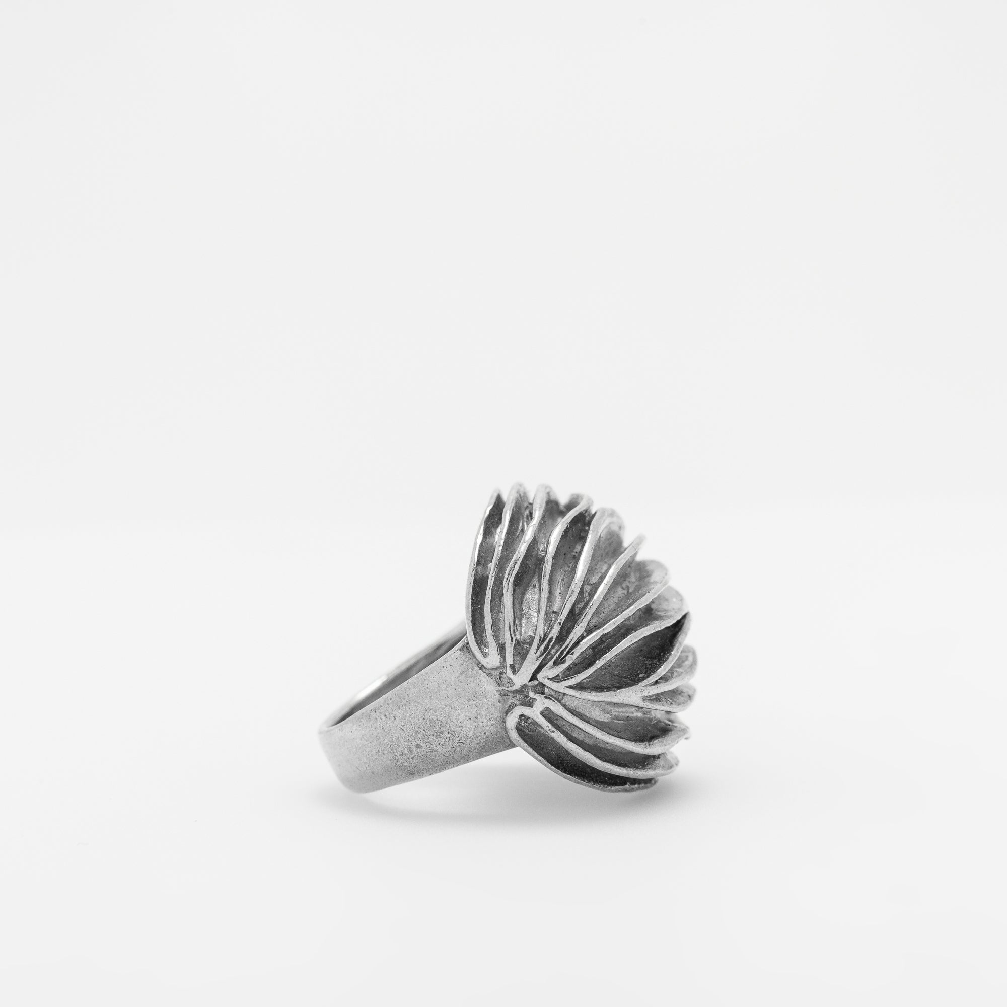 Mollusk Ring