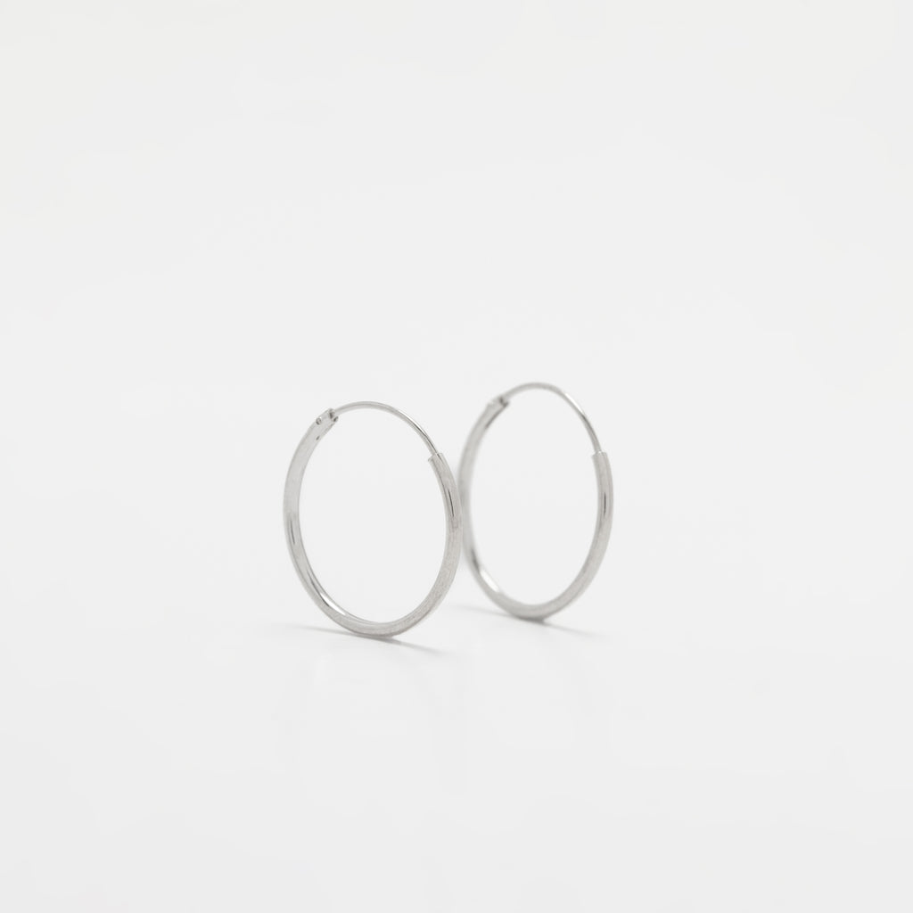 Mini Hoops