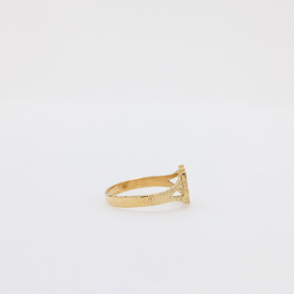 Horseshoe Ring