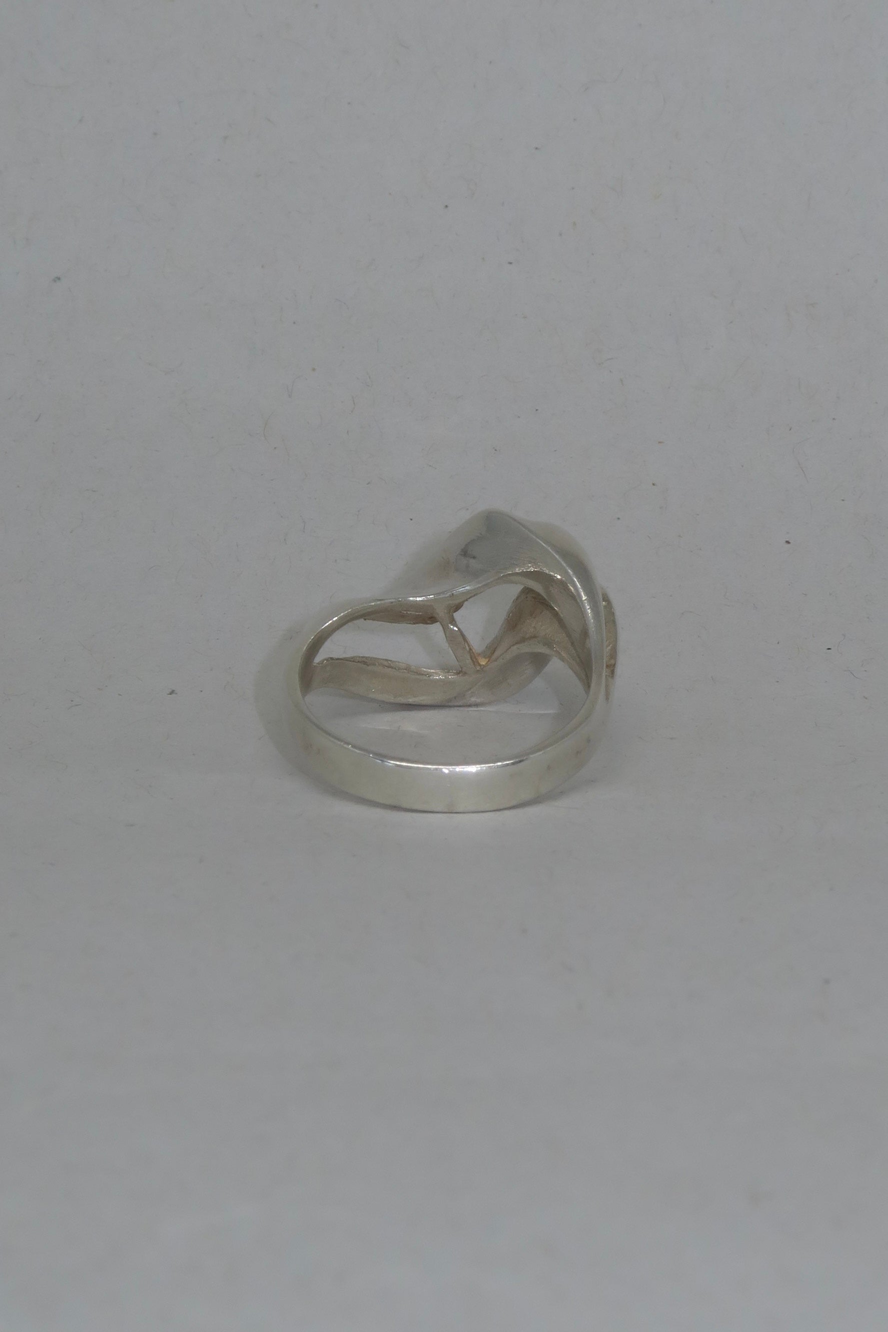 Rhythmic Gymnastics Ring