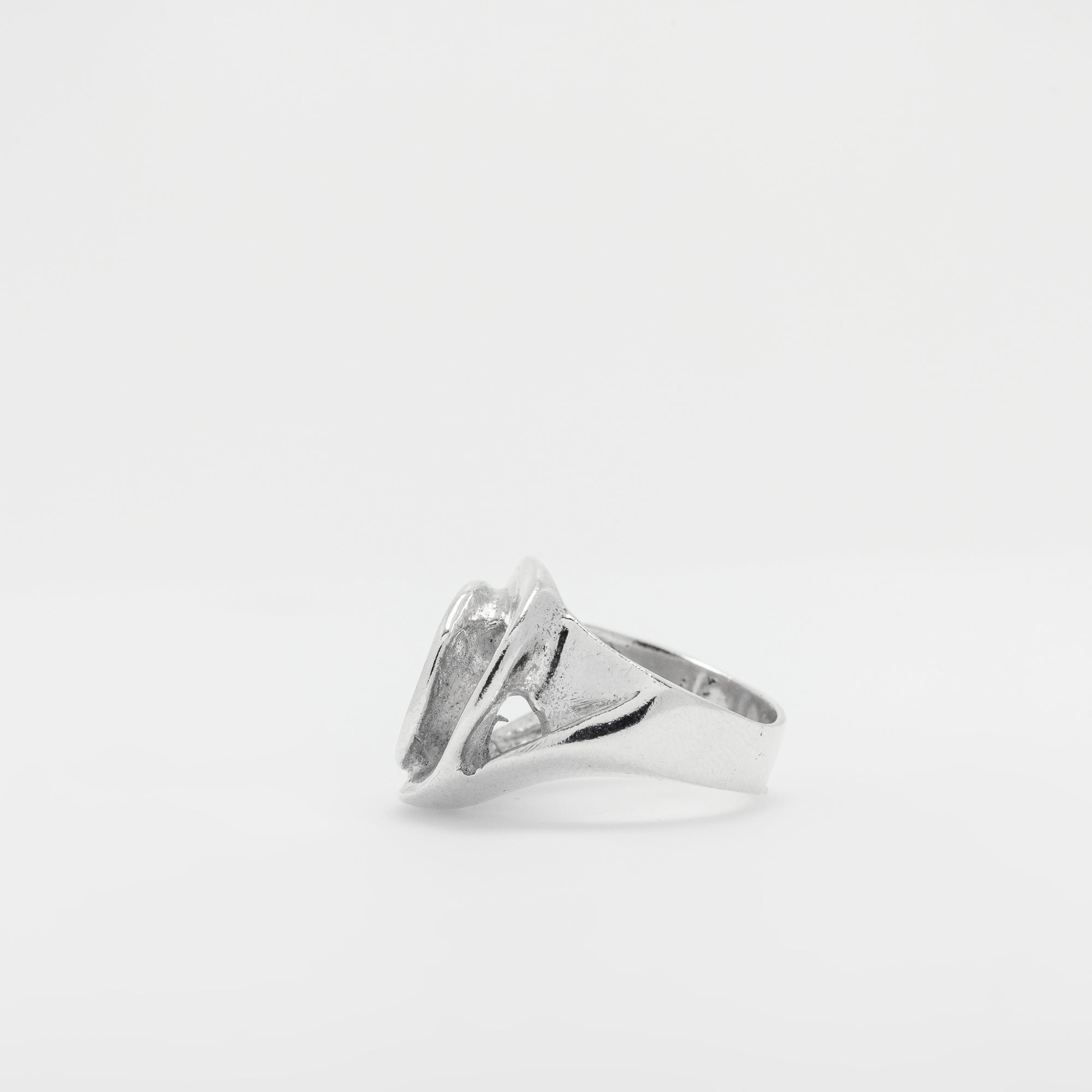 Shell Ring Ver.4