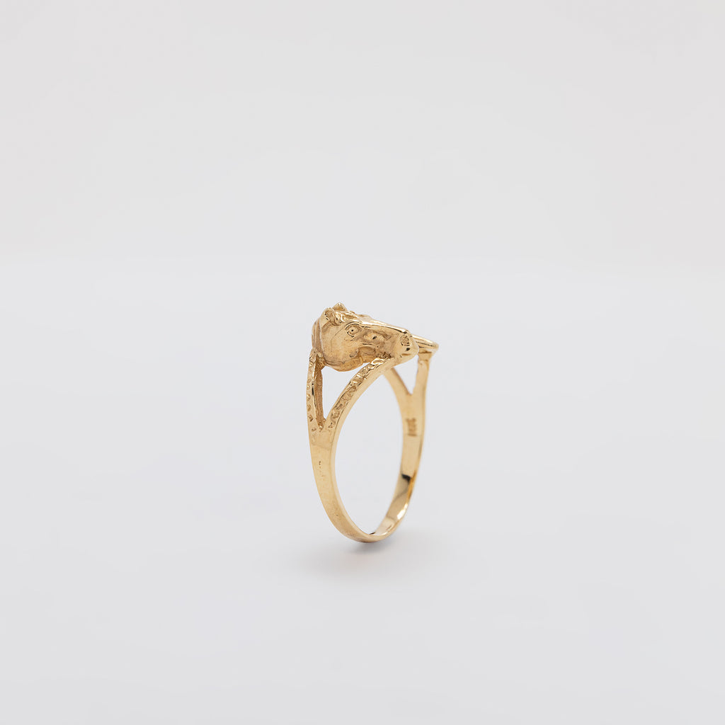 Stallion Ring
