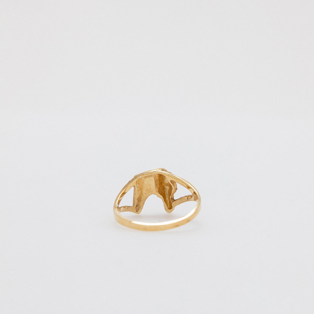Stallion Ring