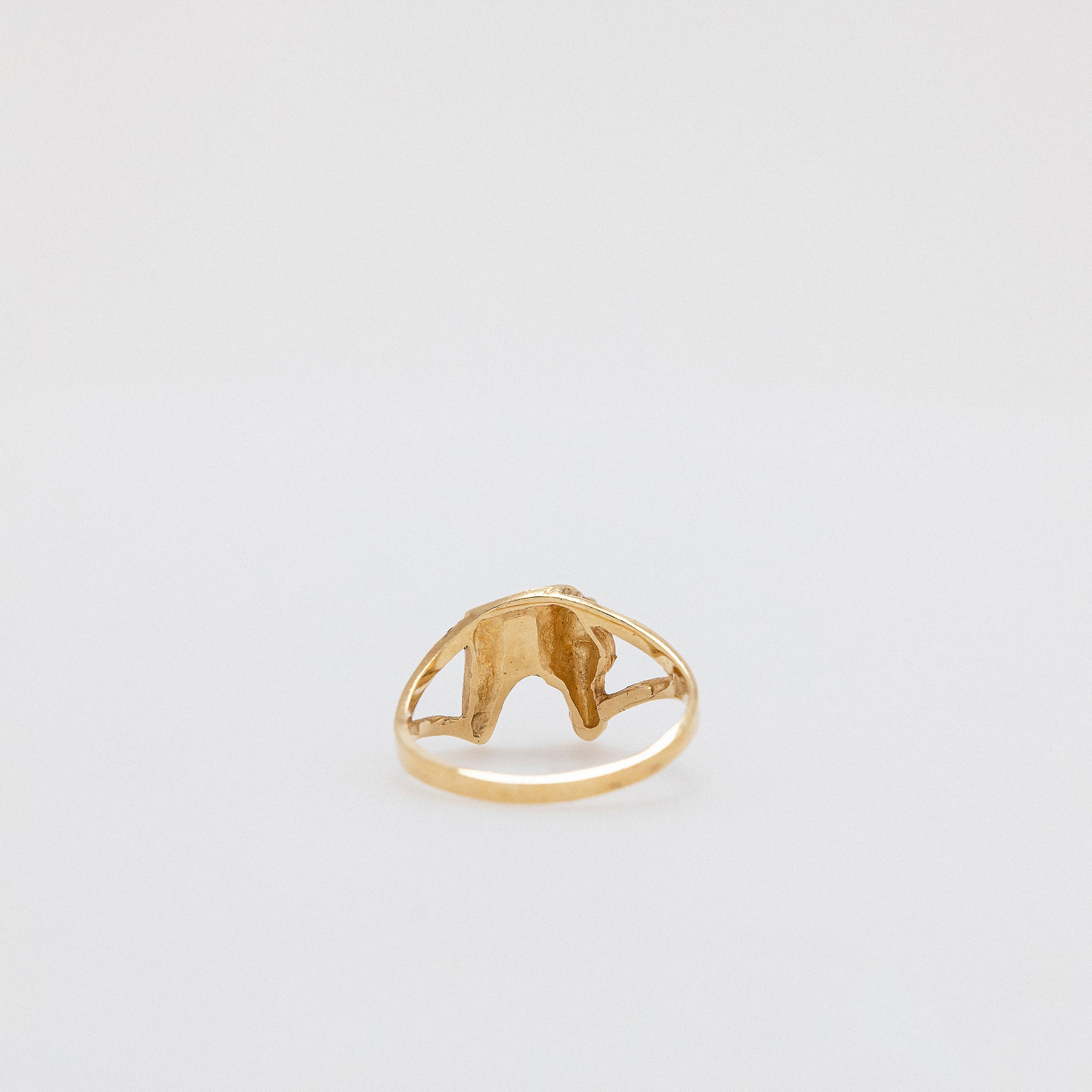 Stallion Ring