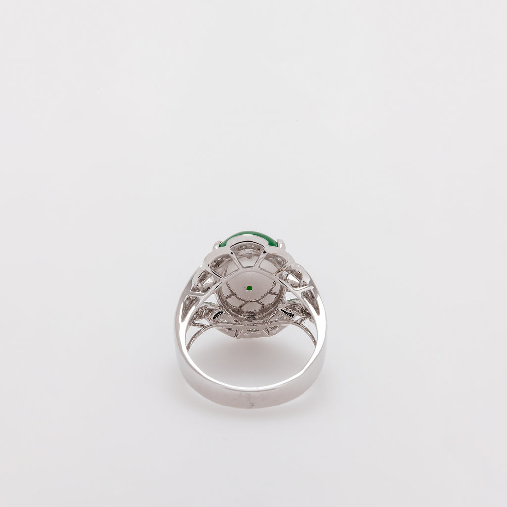 The Rachel Ring
