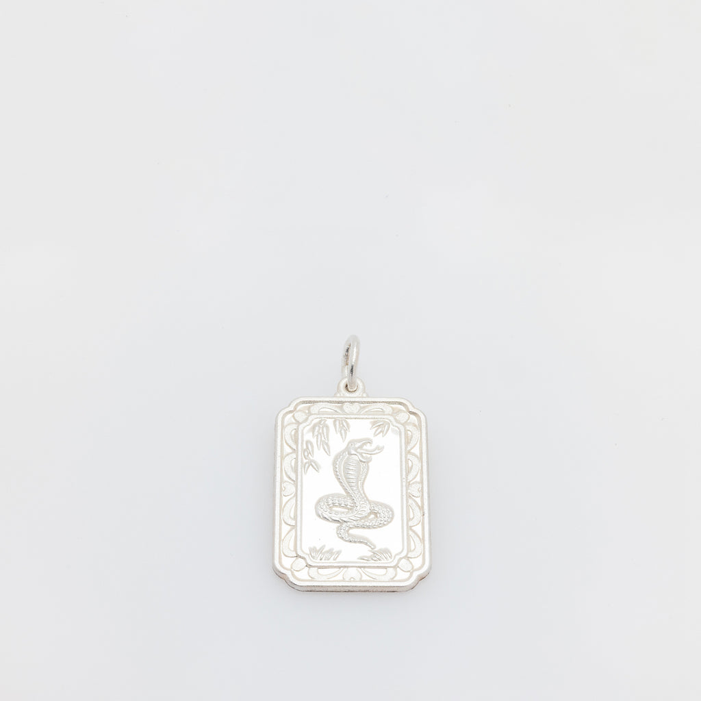 Year of the Snake Silver Coin Medallion Pendant