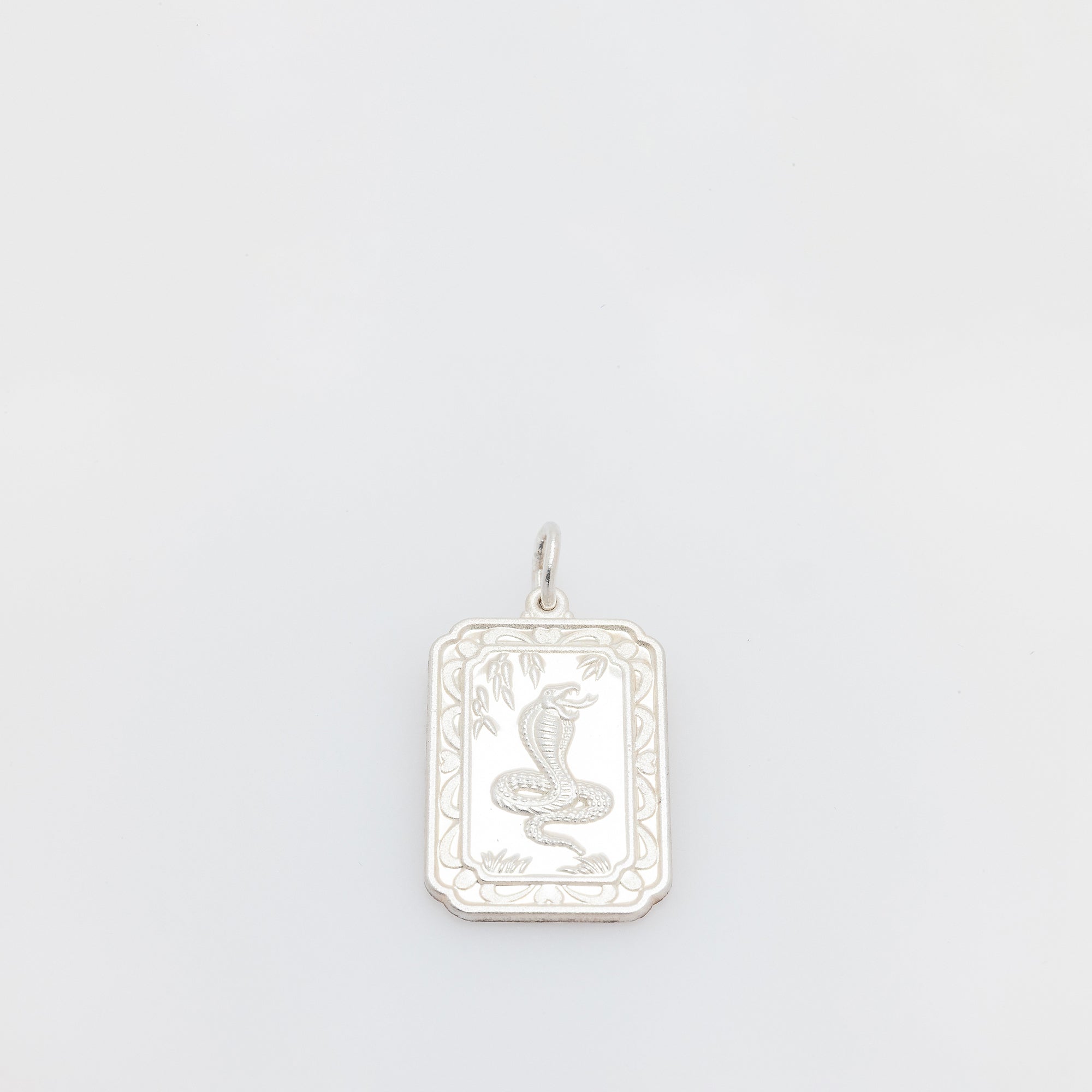 Year of the Snake Silver Coin Medallion Pendant