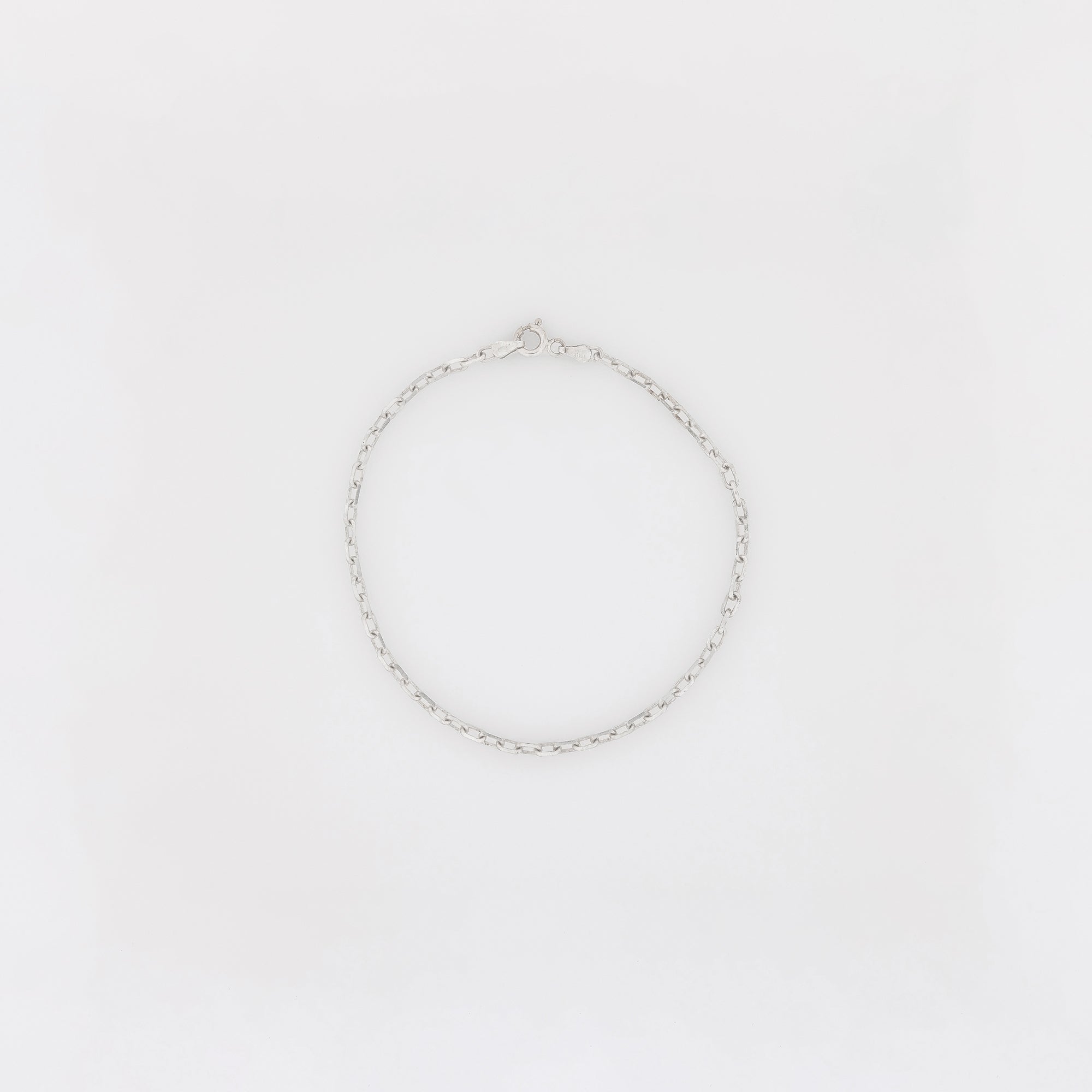 Round Link Chain Anklet