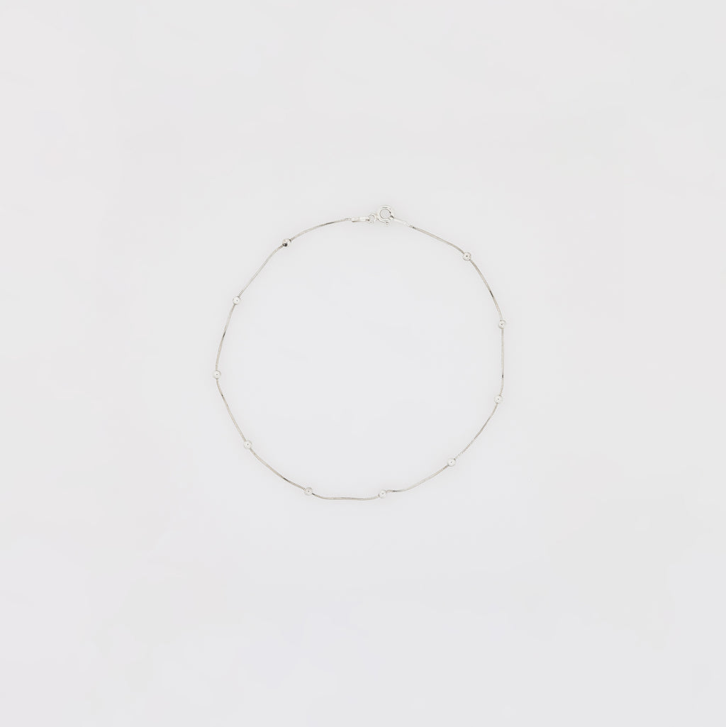 Small Ball + Snake Chain Anklet