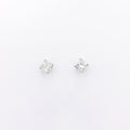 Collette Studs