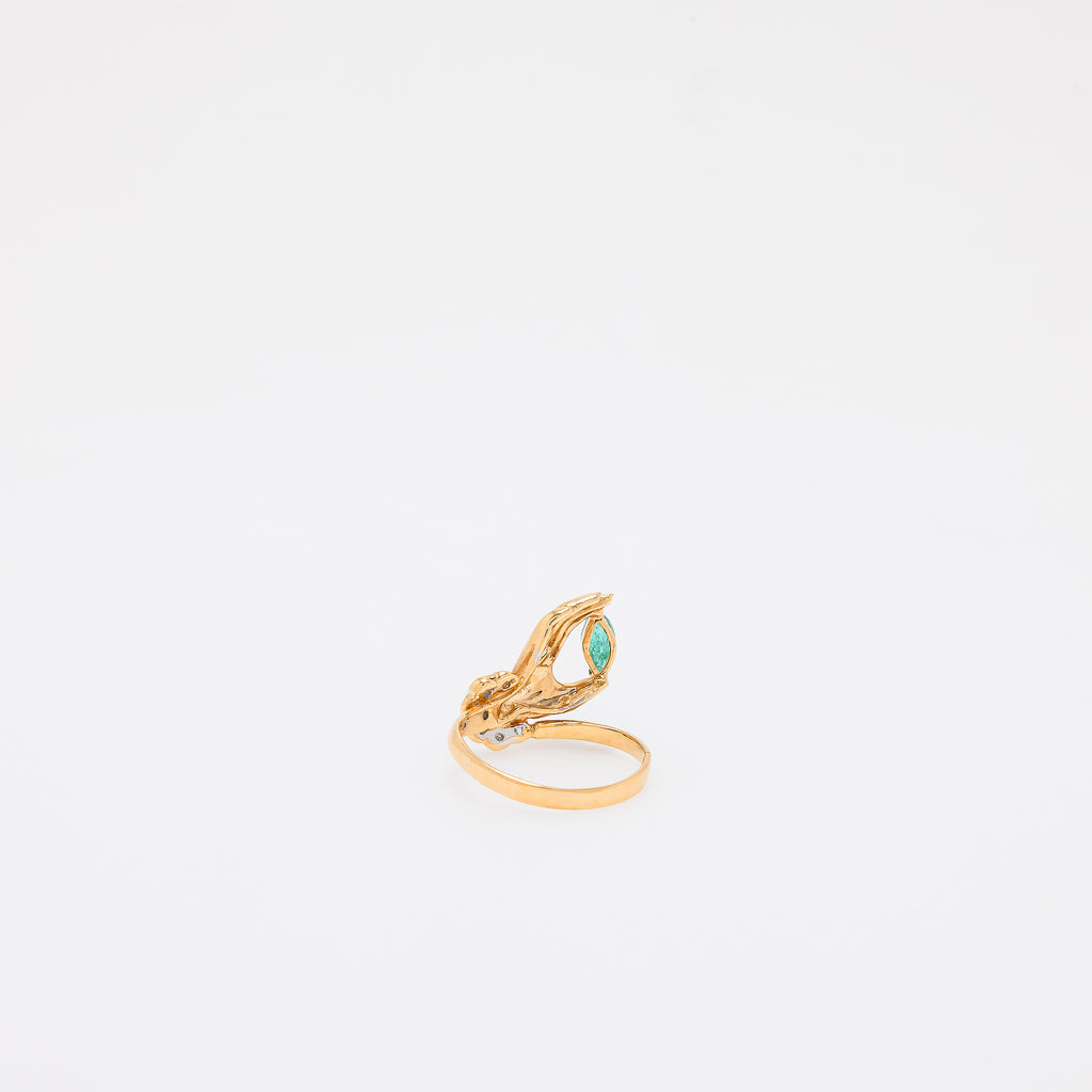 Ai Ring
