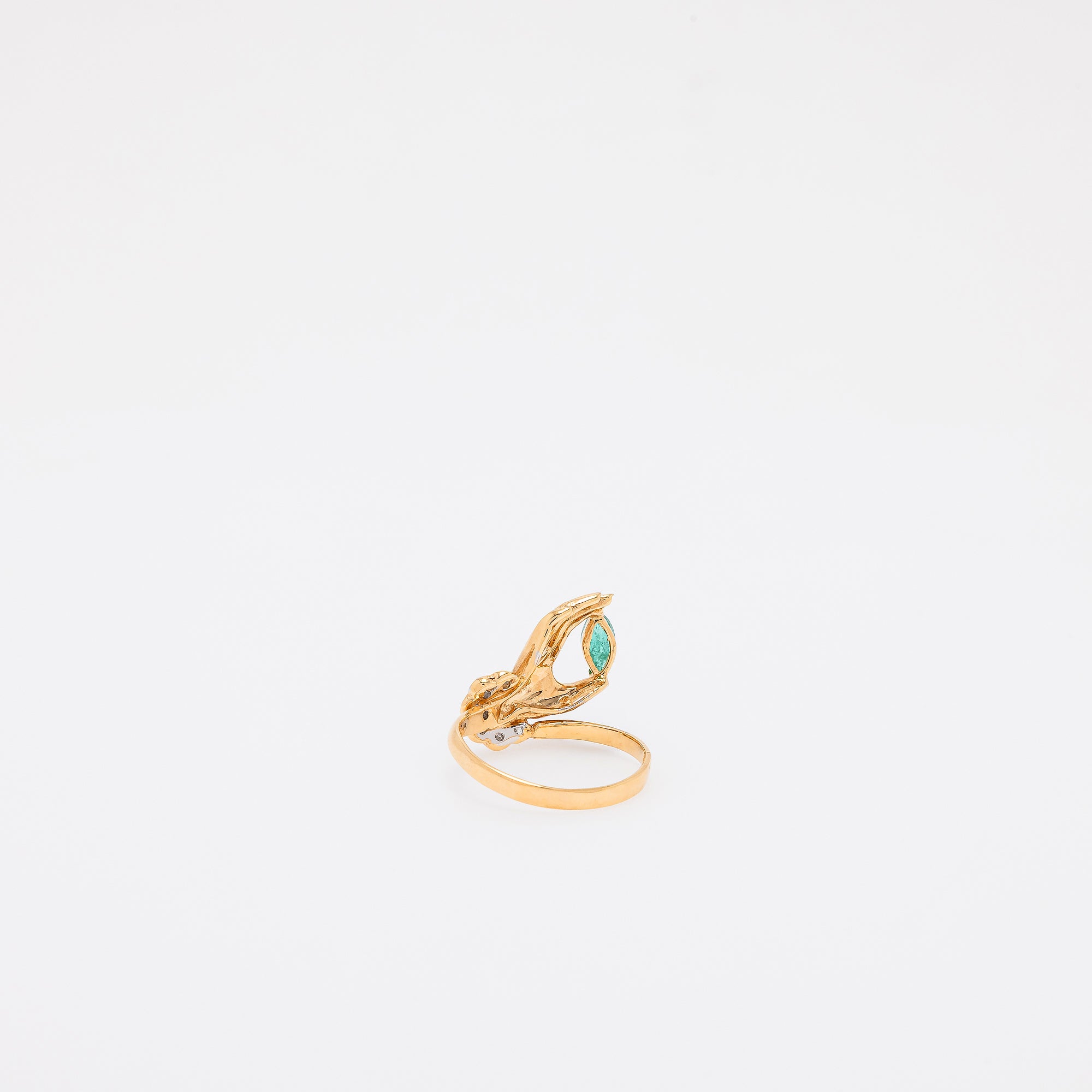 Ai Ring