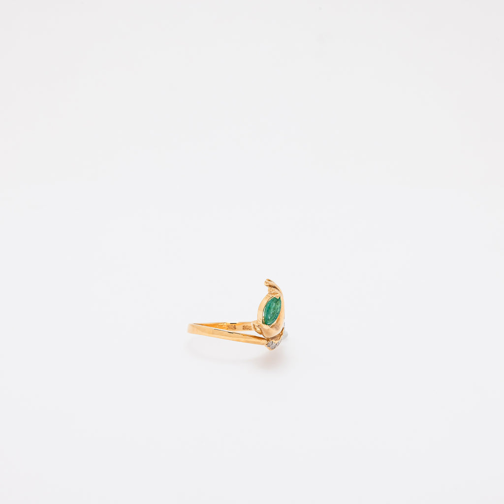 Ai Ring
