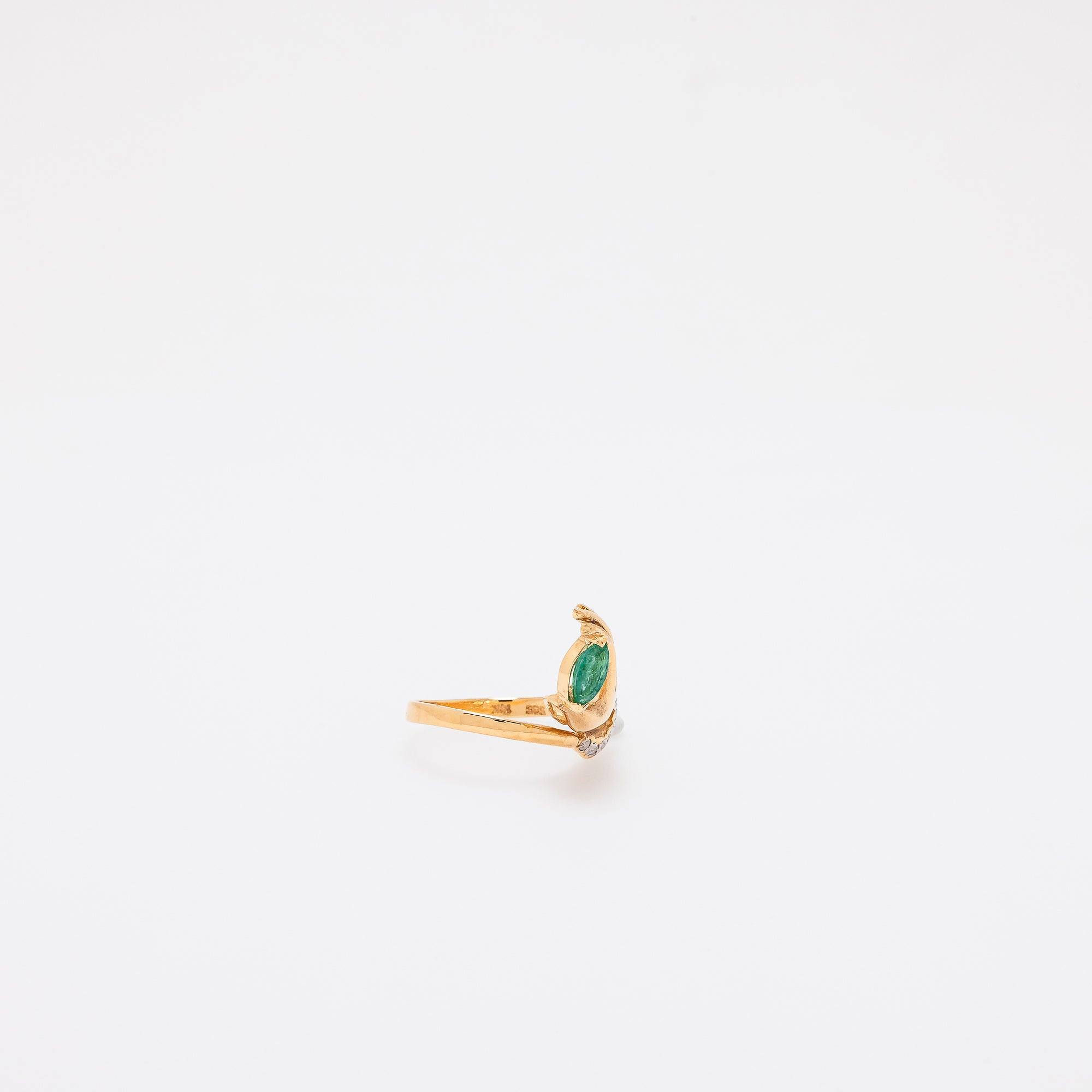 Ai Ring