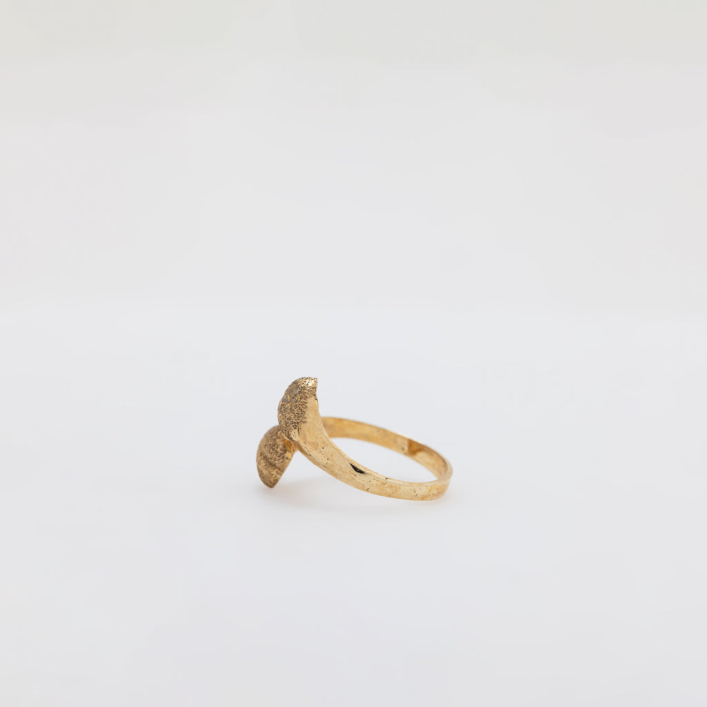 Same Love Ring