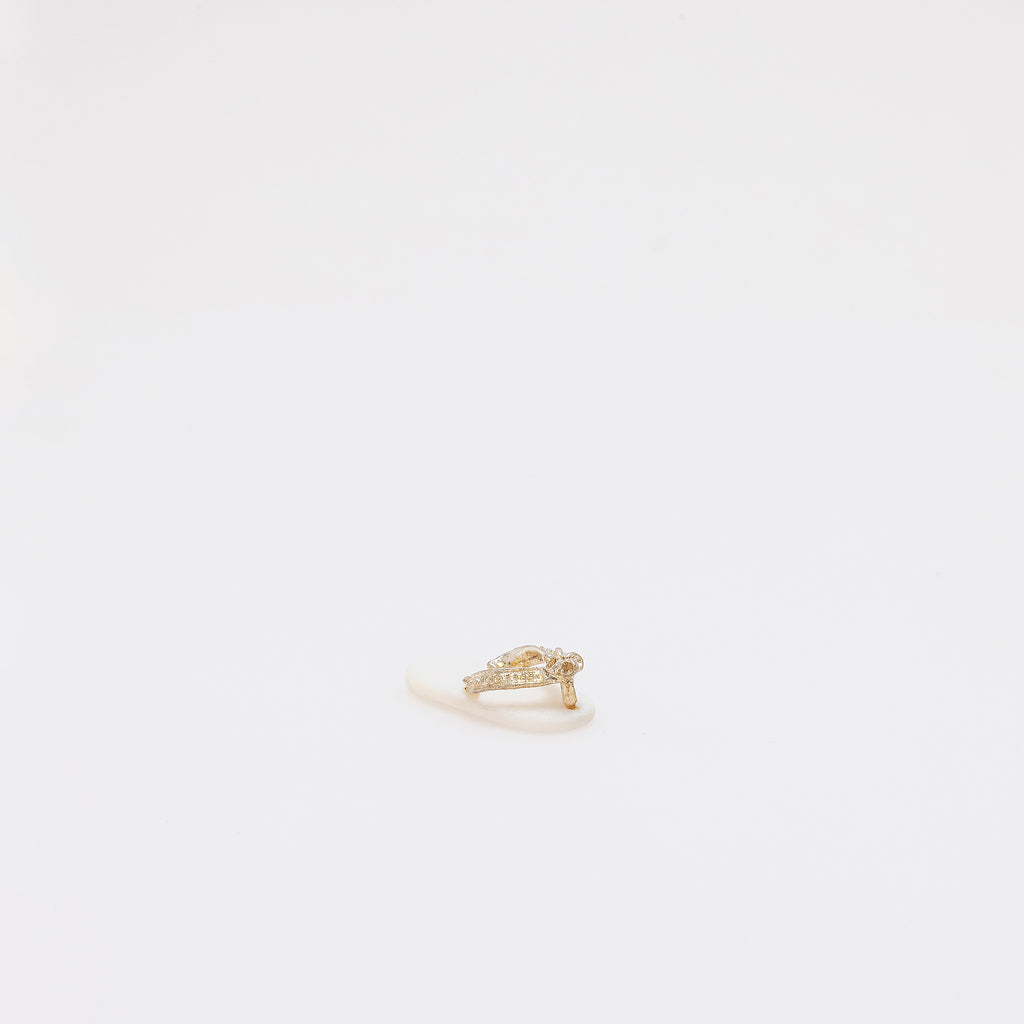 White Shell + Plumeria Slippah