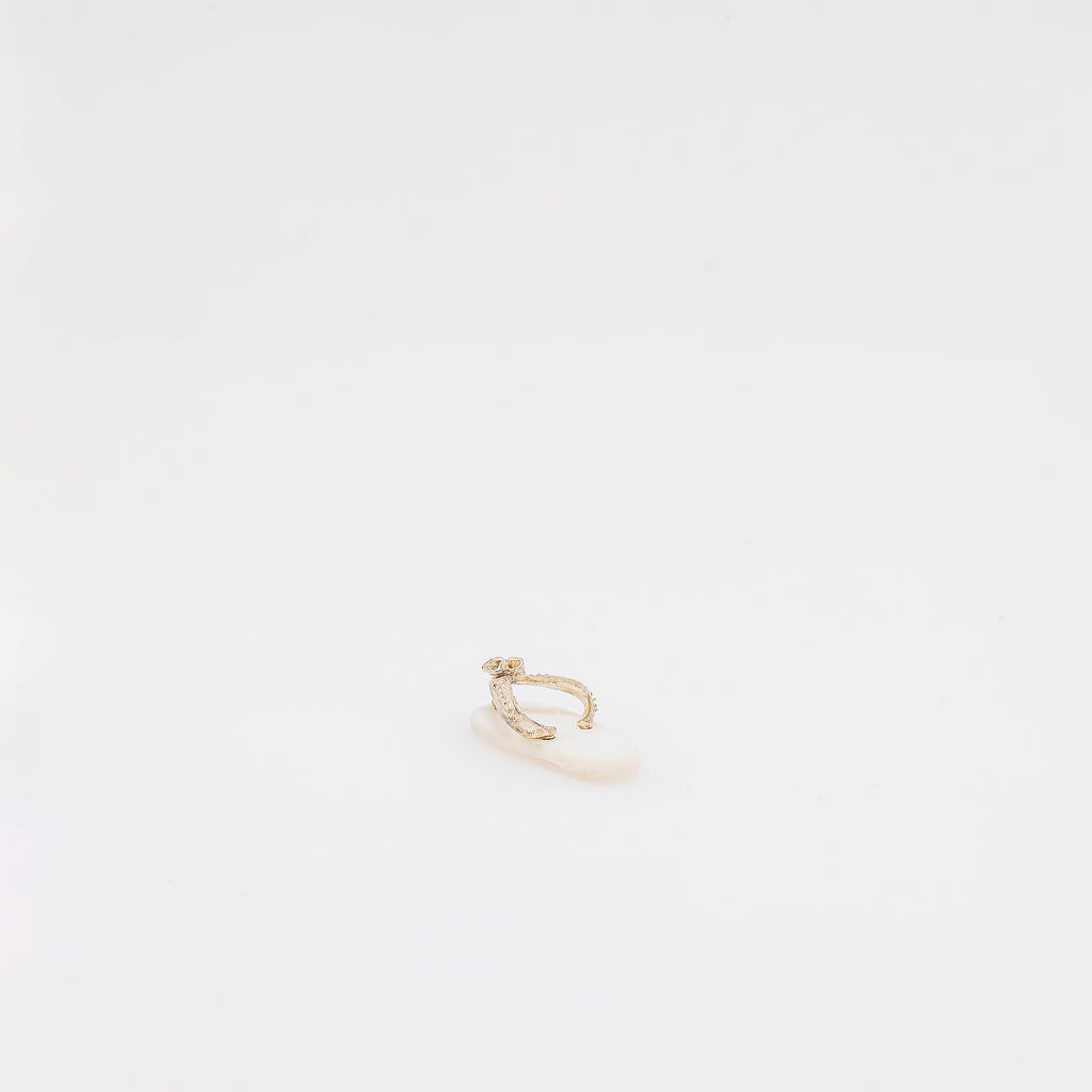 White Shell + Plumeria Slippah