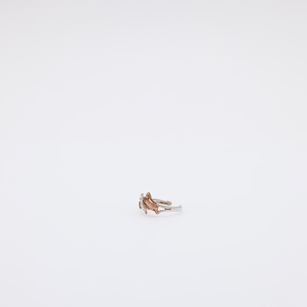 Double Dolphin Toe Ring