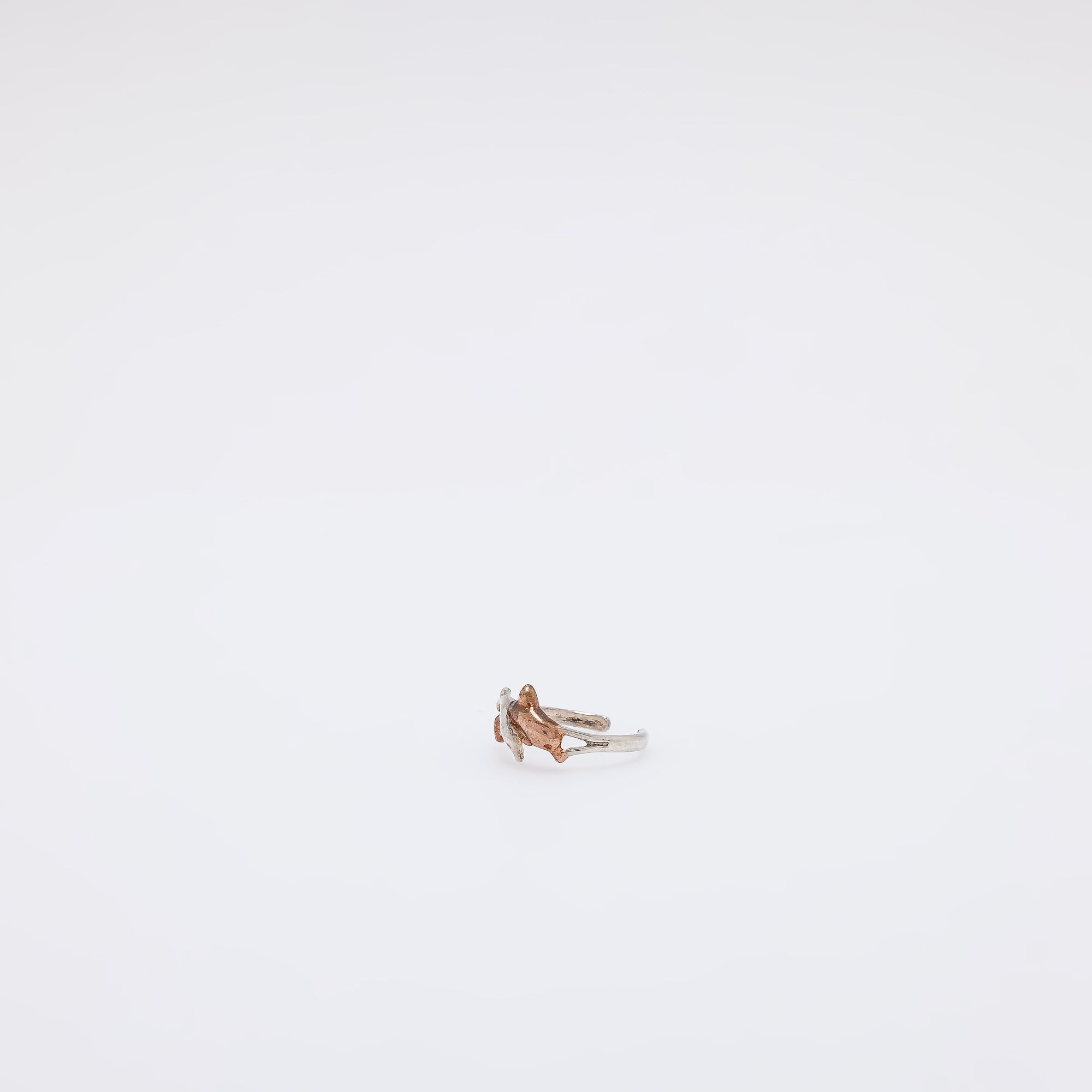 Double Dolphin Toe Ring
