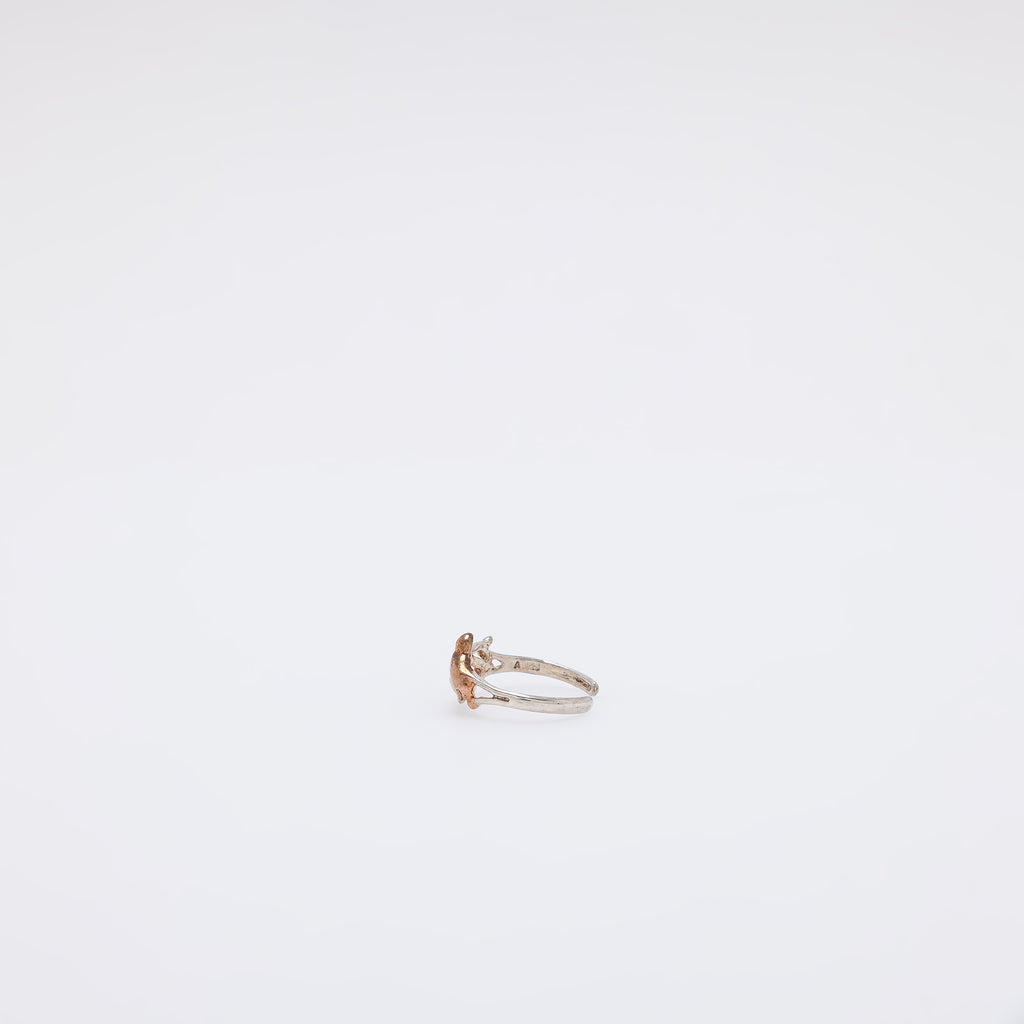 Double Dolphin Toe Ring