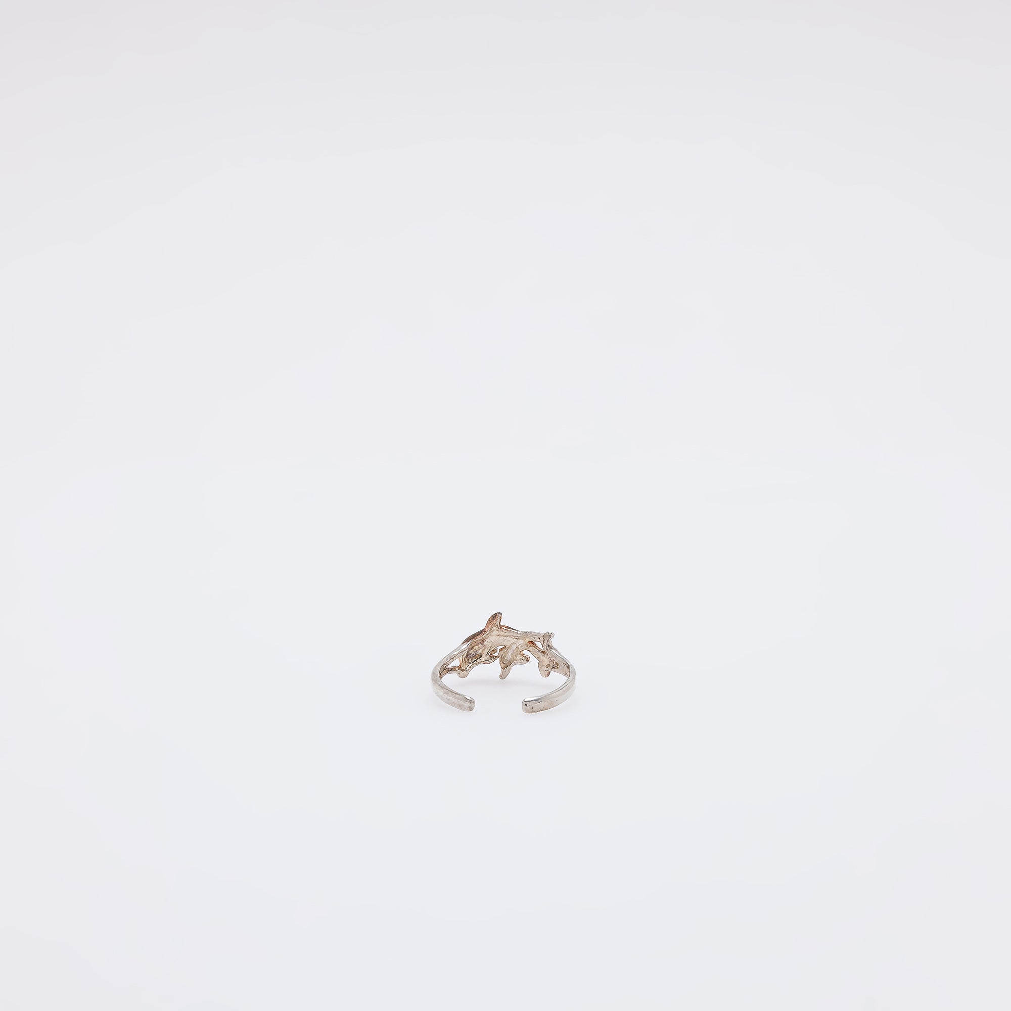 Double Dolphin Toe Ring